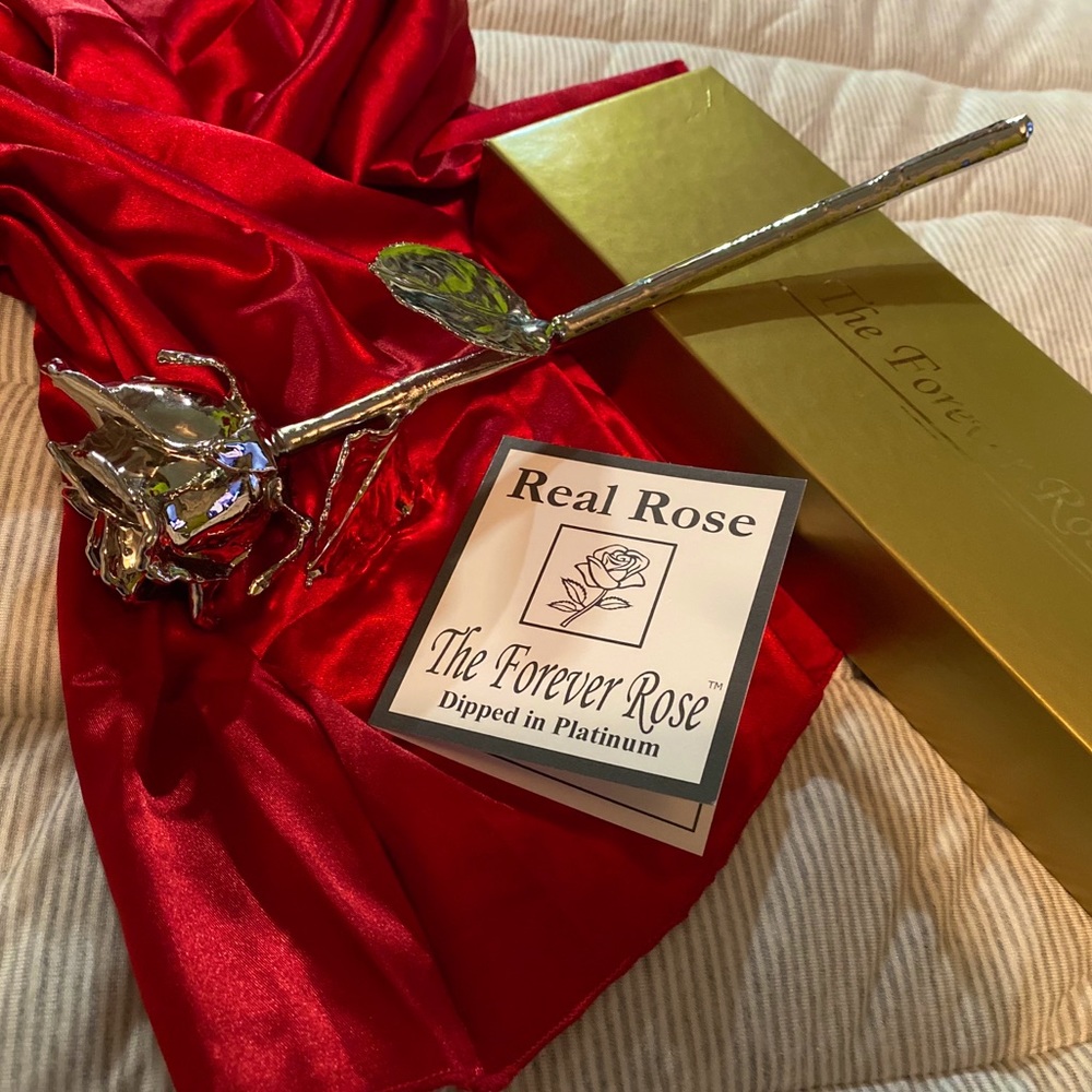 FOREVER ROSE // PLATINUM